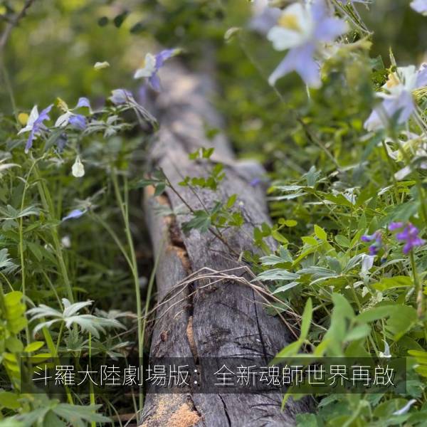 斗羅大陸劇場版：全新魂師世界再啟海报