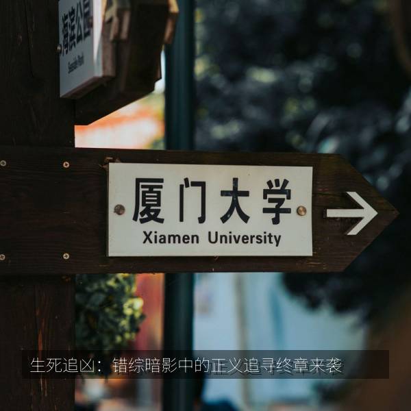 生死追凶：错综暗影中的正义追寻终章来袭
